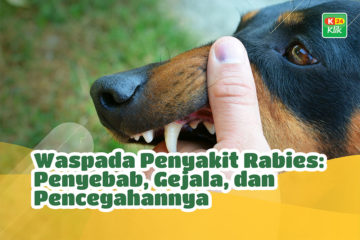 waspada penyakit rabies