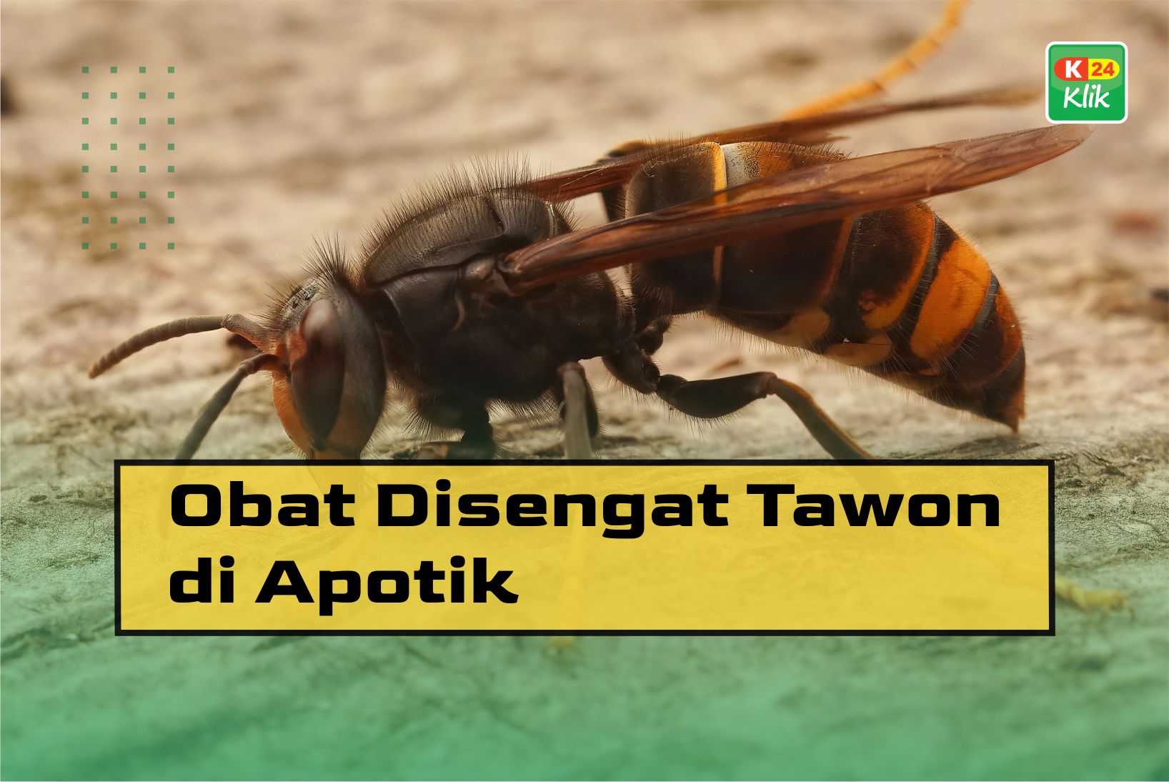 obat disengat tawon di apotik